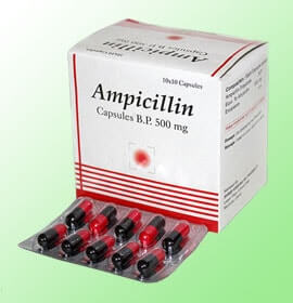 Ampicilina (Penicillin)